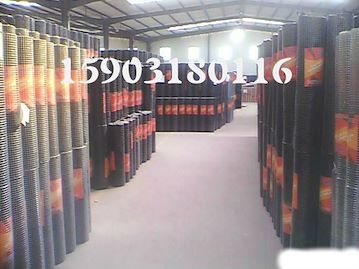 1/2出口外贸标准镀锌浸塑PVC电焊网